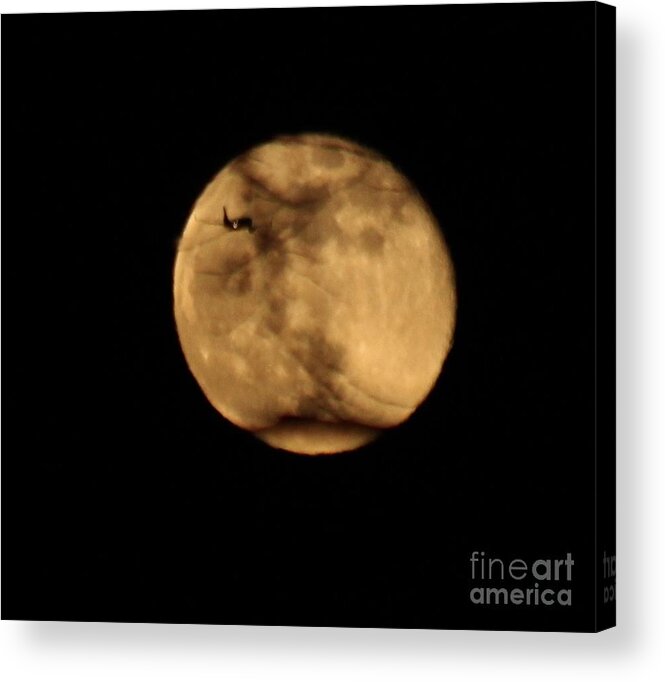March Full Moon Acrylic Print featuring the photograph Plane to the Moon by Ann E Robson
