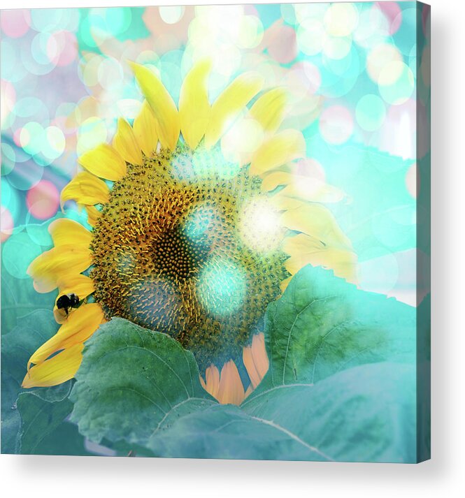 Sunflower Acrylic Print featuring the digital art Sunflower Fun by Elaine Berger
