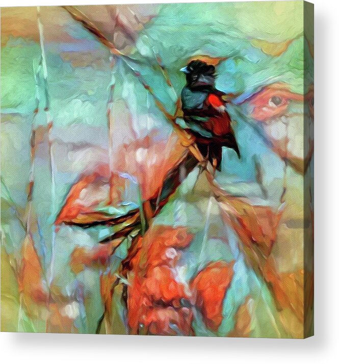 Widowbird In The Reeds Acrylic Print featuring the painting Widowbird in the Reeds by Susan Maxwell Schmidt