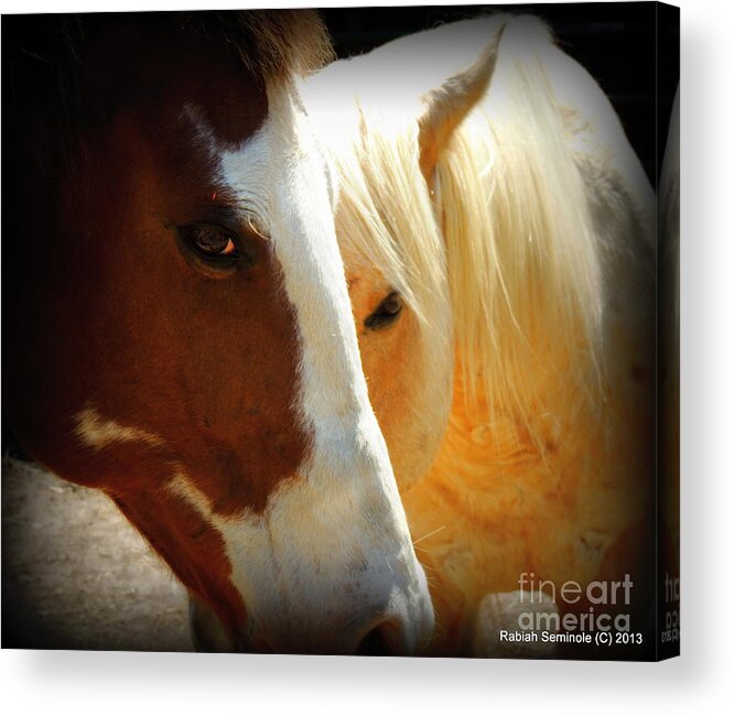 Horses Acrylic Print featuring the photograph Portrait of Tai and Woody by Rabiah Seminole