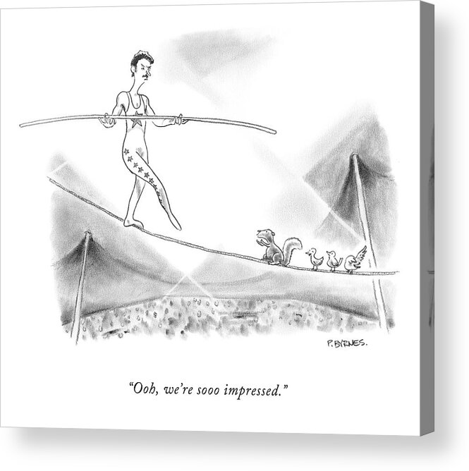 Tightrope Acrylic Print featuring the drawing Ooh, We're Sooo Impressed by Pat Byrnes