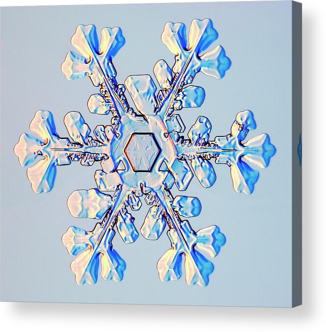 Snowflake Acrylic Print featuring the photograph Snowflake #4 by Kenneth Libbrecht/science Photo Library