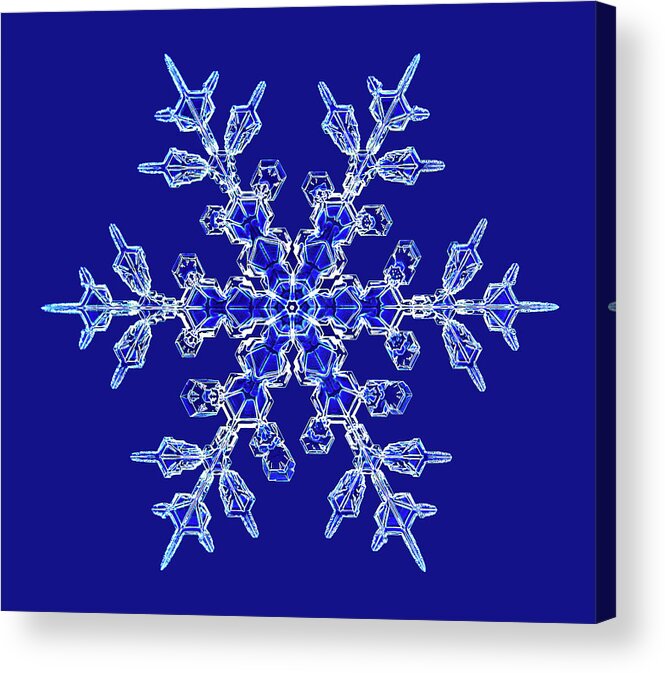 Blue Background Acrylic Print featuring the photograph Snowflake #41 by Kenneth Libbrecht