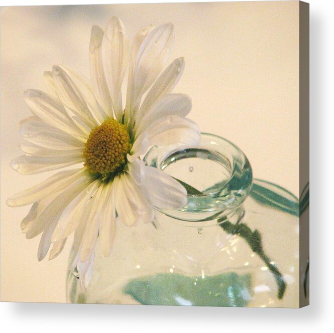 Daisies Acrylic Print featuring the photograph A Daisy A Day by Angela Davies