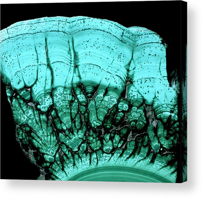 Malachite Acrylic Print featuring the photograph A Sample Of Malachite by Martin Land/science Photo Library