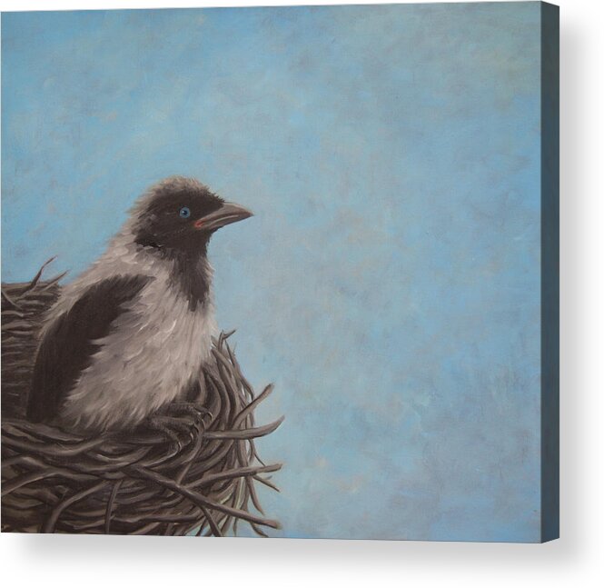 Crow Acrylic Print featuring the painting Baby Crow by Tone Aanderaa