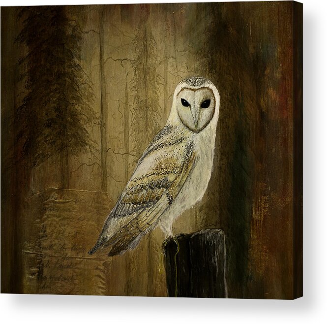 Animals Acrylic Print featuring the painting Barn Owl by Gray Artus