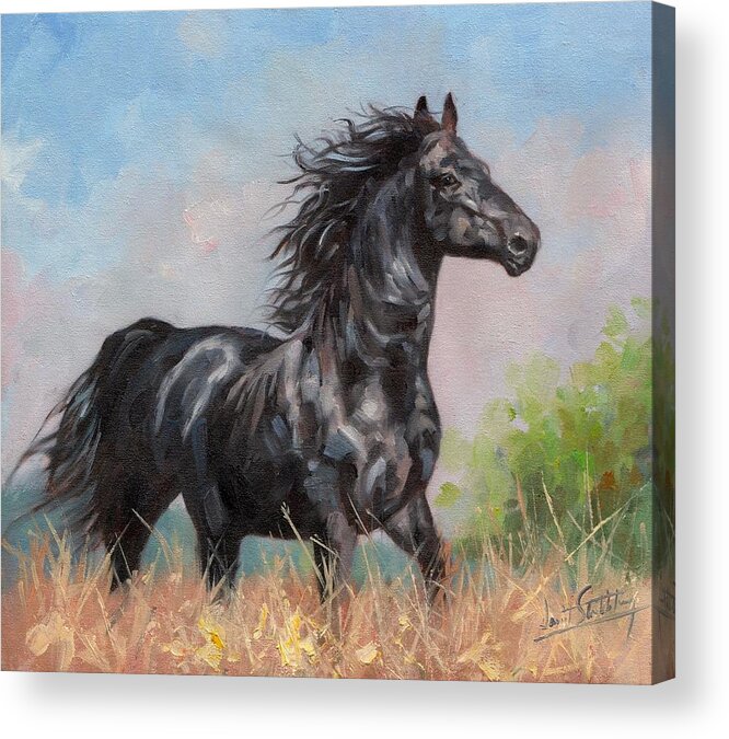 Horse Acrylic Print featuring the painting Black Stallion by David Stribbling