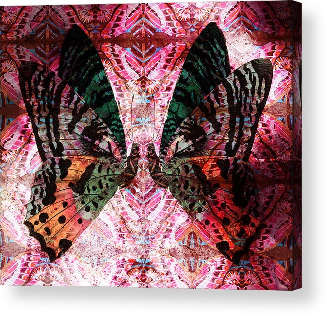 Butterfly Acrylic Print featuring the digital art Butterfly Kaleidoscope by Kyle Hanson