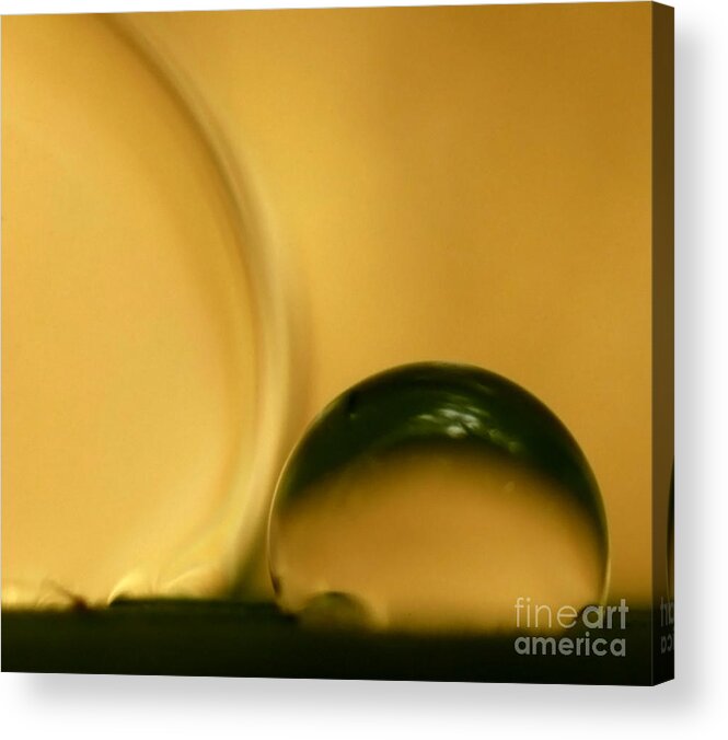 Raindrop Acrylic Print featuring the photograph C Ribet Orbscape 0182ca by C Ribet