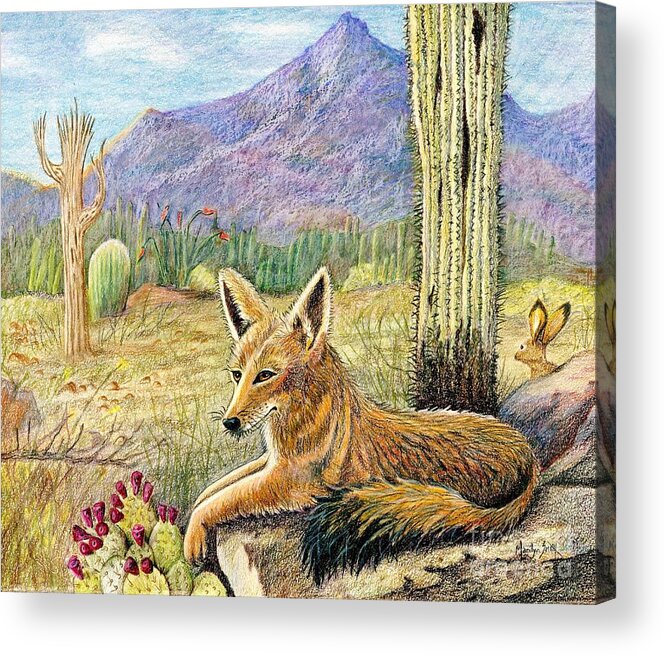 Coyote Acrylic Print featuring the drawing Come One Step Closer by Marilyn Smith