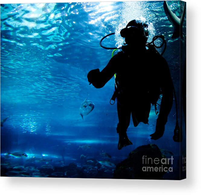 Underwater Acrylic Print featuring the photograph Diving in the ocean underwater by Michal Bednarek