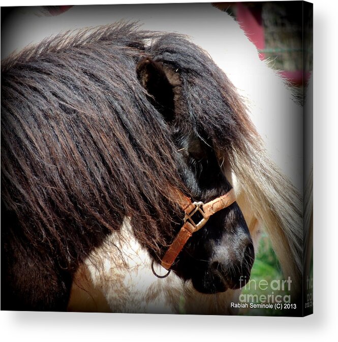 Miniature Acrylic Print featuring the photograph Elvis by Rabiah Seminole