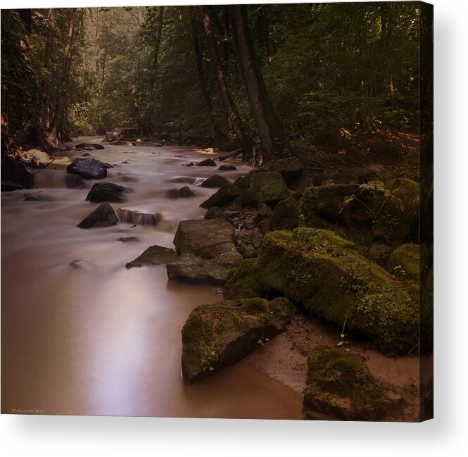 Forest Acrylic Print featuring the photograph Forest Creek by Miguel Winterpacht