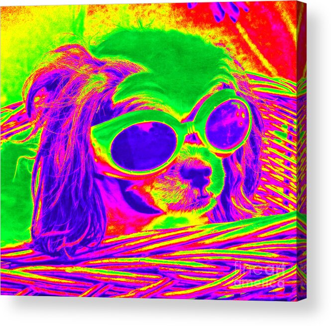 Pop Art Acrylic Print featuring the photograph Front Seat Driver Pop Art - Puppy Mania by Ella Kaye Dickey