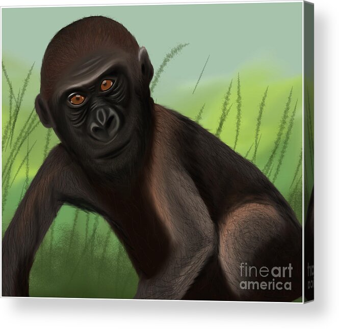  Acrylic Print featuring the painting Gorilla Greatness in the Jungle by Barefoot Bodeez Art