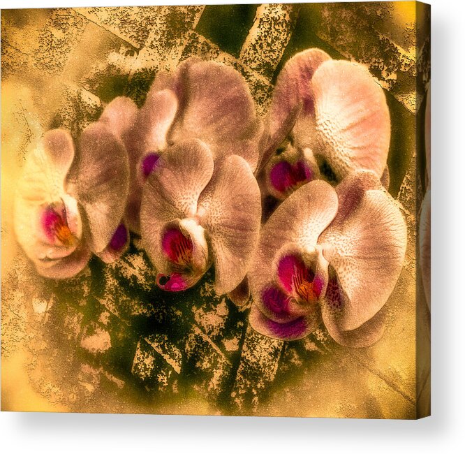 Digital Art Acrylic Print featuring the digital art Late Summer Orchids by Jill Balsam