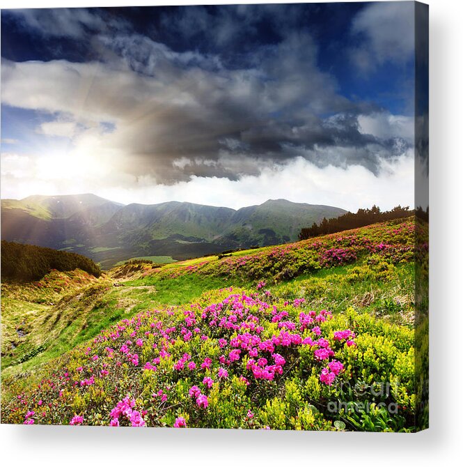 Magic Pink Acrylic Print featuring the photograph Magic pink summer mountain by Boon Mee