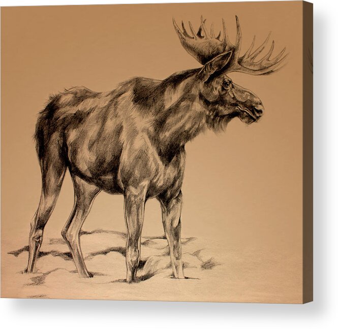 Cute reindeer animal sketch wonderful drawing Coffee Mug by Norman