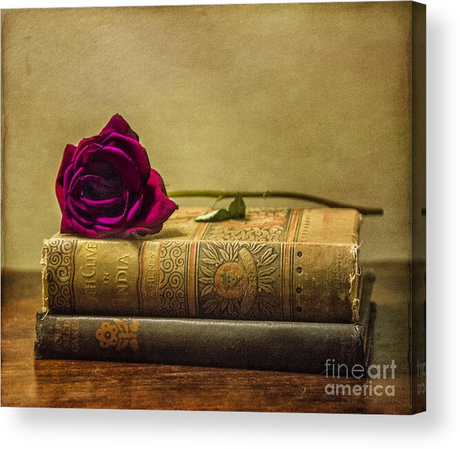 Book Acrylic Print featuring the photograph Old Book Love by Terry Rowe