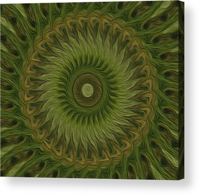 Kaleidoscope Acrylic Print featuring the digital art Painted Kaleidoscope 10 by Rhonda Barrett