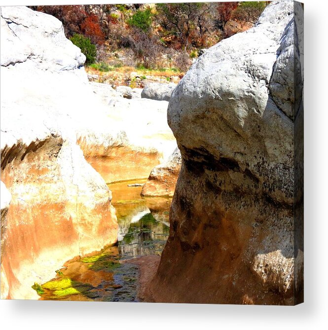 Perdernales Falls Acrylic Print featuring the photograph Passage To Color by David Norman