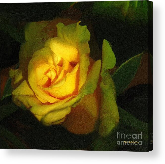 Rose Acrylic Print featuring the painting Peachglow by RC DeWinter