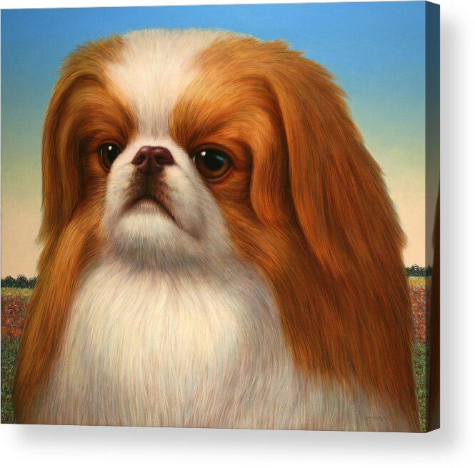 Pekingese Acrylic Print featuring the painting Pekingese by James W Johnson