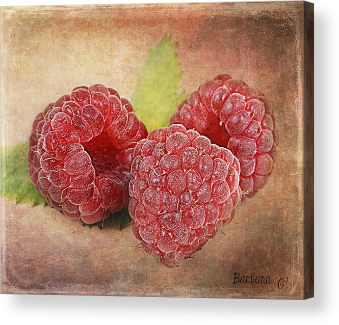 Raspberries Acrylic Print featuring the photograph Raspberries by Barbara Orenya