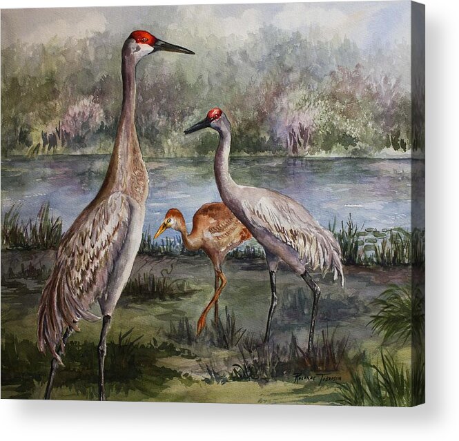 Sandhill Cranes Acrylic Print featuring the painting Sandhill Cranes On Alert by Roxanne Tobaison