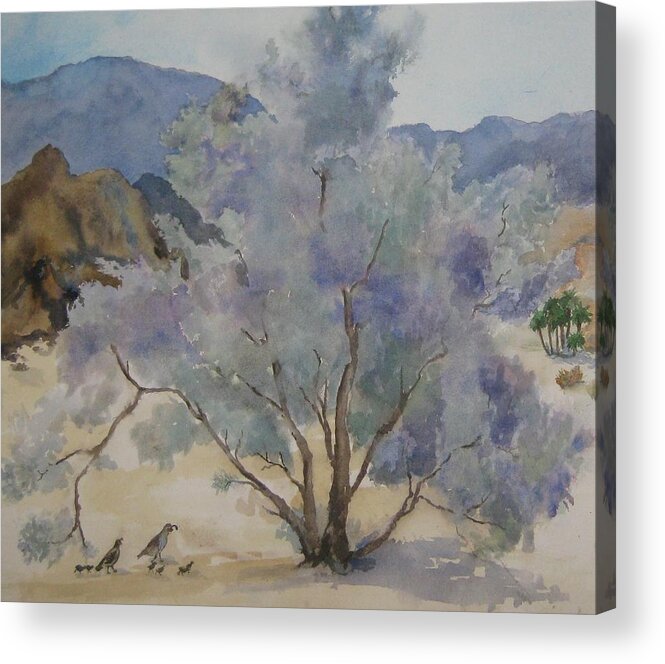 Smoketree Acrylic Print featuring the painting Smoketree in Bloom by Maria Hunt