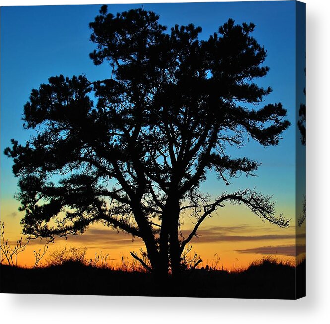 Prouts Neck Acrylic Print featuring the photograph Silhouette by Paul Noble