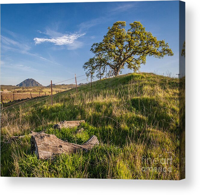 Landscape Acrylic Print featuring the photograph Sleepy Spring by Charles Garcia