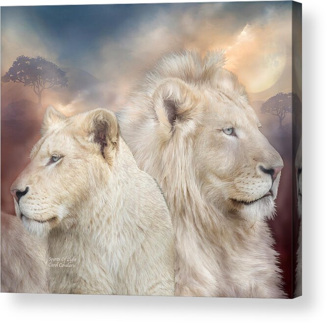 Lion Acrylic Print featuring the mixed media Spirits Of Light by Carol Cavalaris