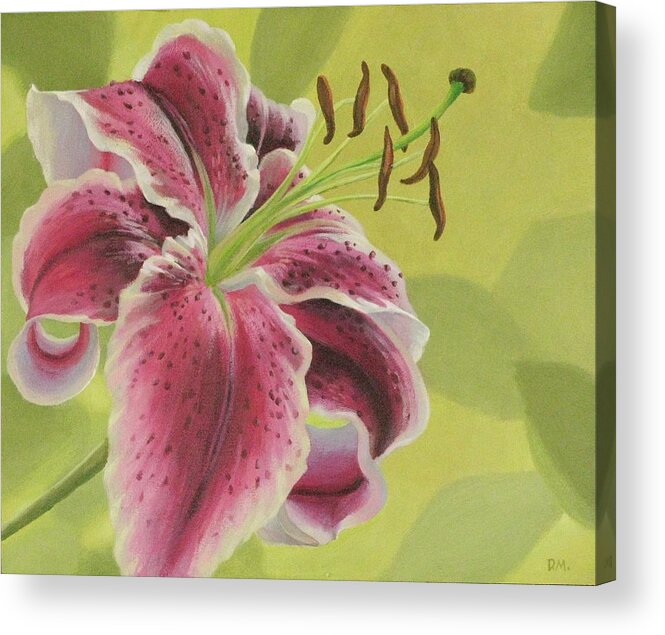 Flower Acrylic Print featuring the painting Stargazer Lilly by Don Morgan