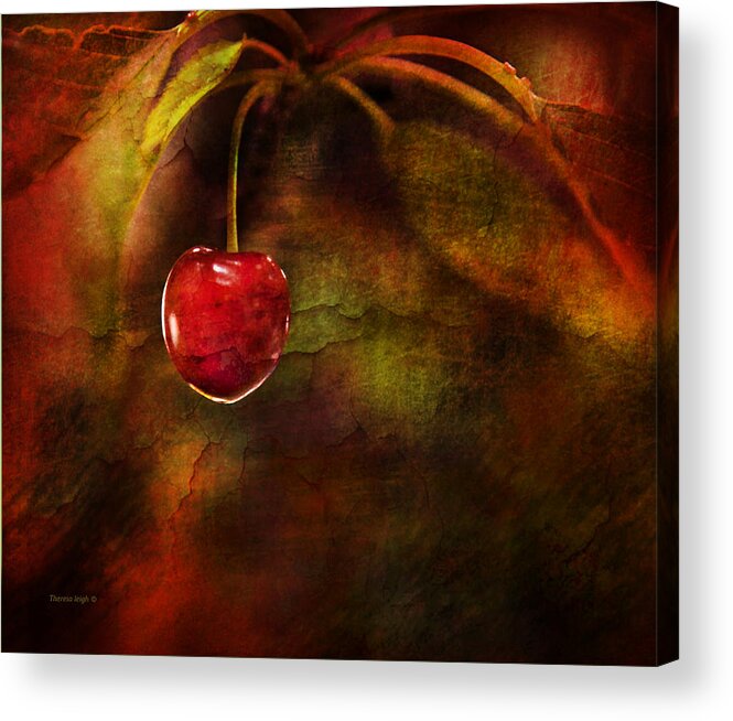 Cherry Acrylic Print featuring the photograph Summer Cherries 1 by Theresa Tahara