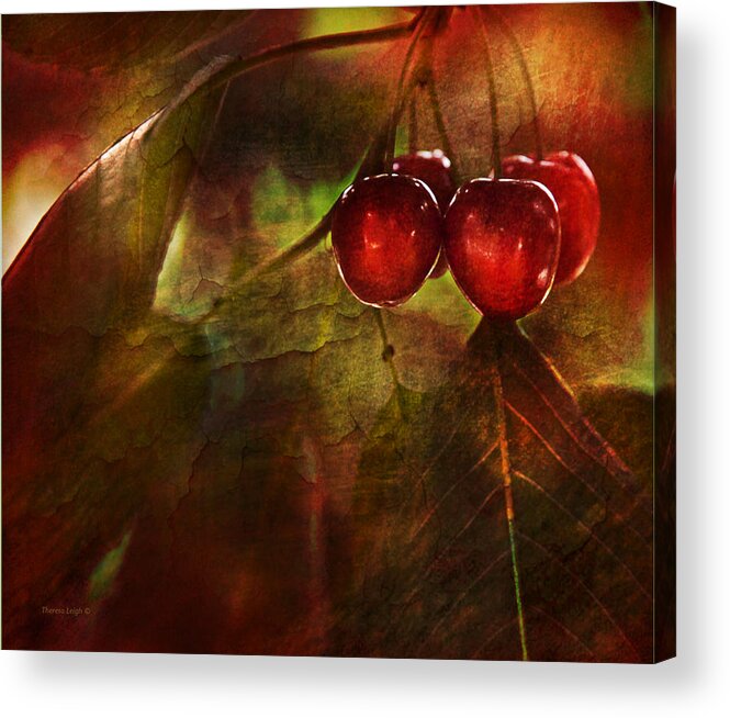 Kitchen Acrylic Print featuring the photograph Summer Cherries 2 by Theresa Tahara