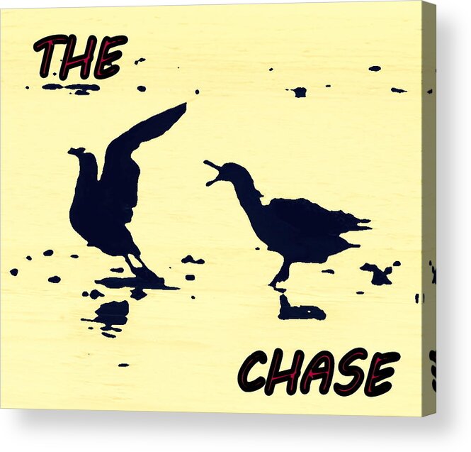 Seagull Acrylic Print featuring the photograph The Chase by Pamela Hyde Wilson