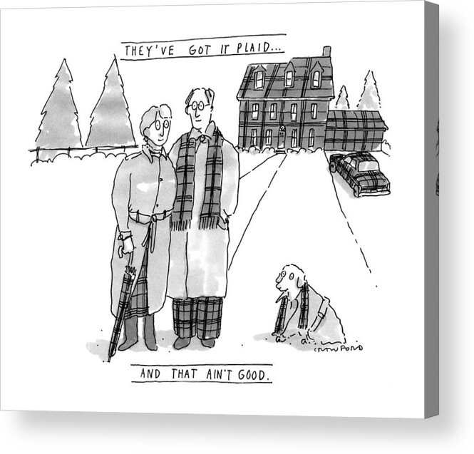 Fashion Acrylic Print featuring the drawing They've Got It Plaid...
And That Ain't Good by Michael Crawford