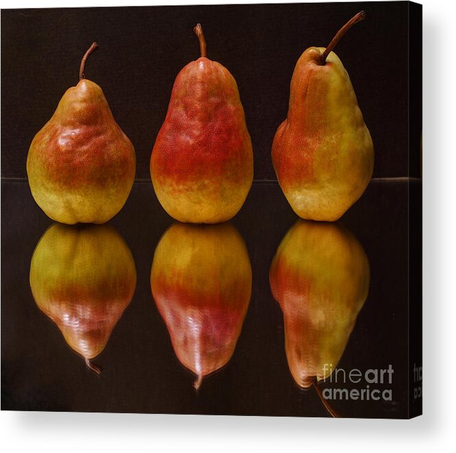 Three Acrylic Print featuring the photograph Three Pears by Jacklyn Duryea Fraizer