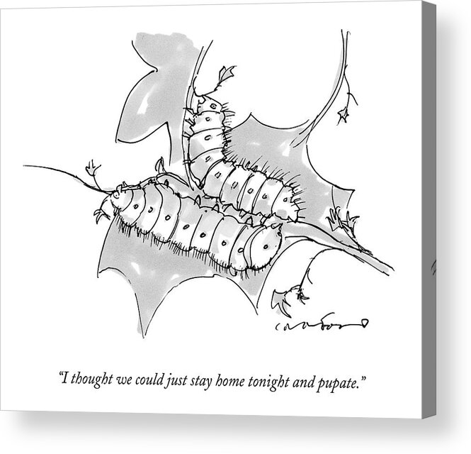 Caterpillars Acrylic Print featuring the drawing Two Caterpillars Stand On A Leaf Together by Michael Crawford