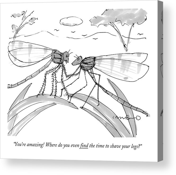 Flies Acrylic Print featuring the drawing Two Flies In A Relationship Discussing by Michael Crawford