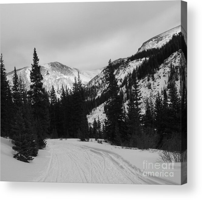 Winter Acrylic Print featuring the photograph Winter Road by Tonya Hance
