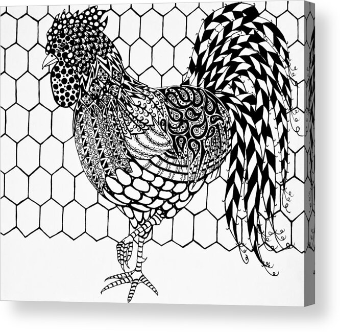Rooster Acrylic Print featuring the drawing Zentangle Rooster by Jani Freimann