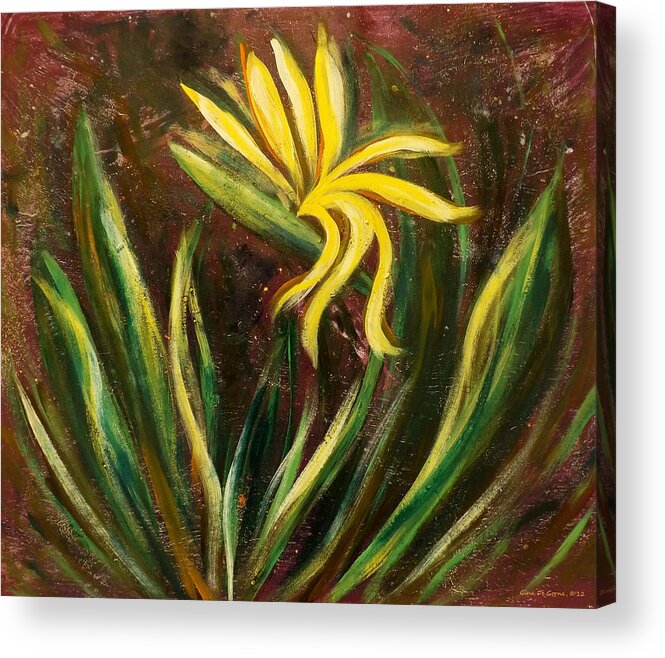 Flower Acrylic Print featuring the painting Bird of Paradise 1234 by Gina De Gorna