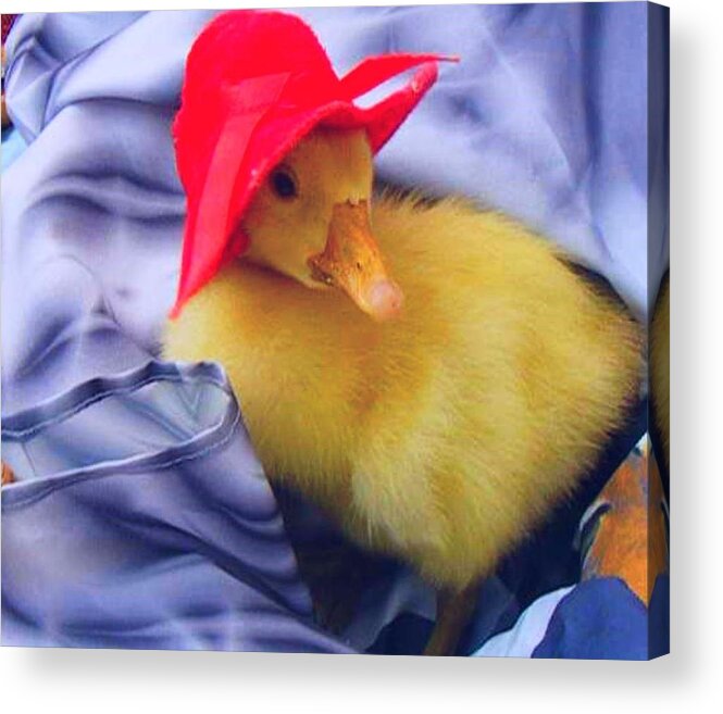 Photografy Acrylic Print featuring the painting Dodo with red hat by Bogdan Floridana Oana