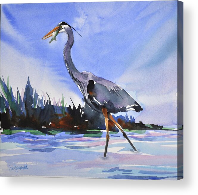 Birds Acrylic Print featuring the painting Fishing Heron by Joe Greenwald