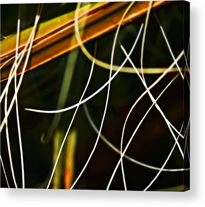 Natural Acrylic Print featuring the photograph Garnetted by Susana Sanchez Giraud