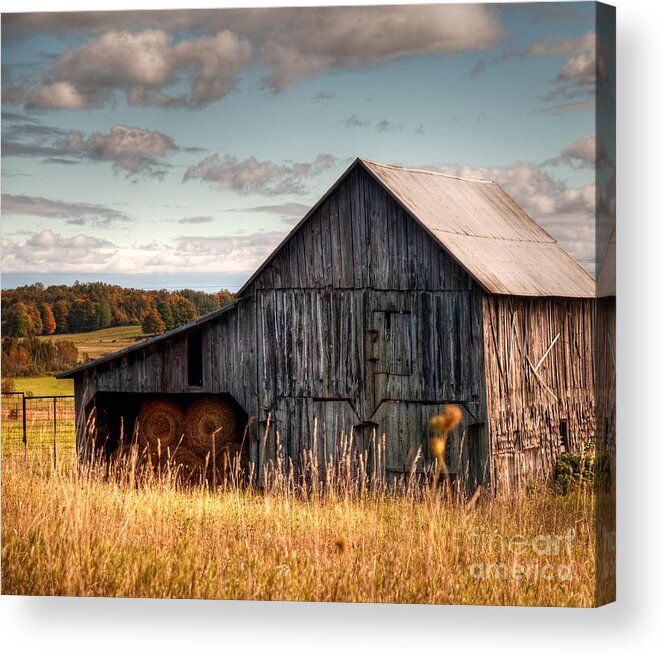 Barn Acrylic Print featuring the photograph Simple Life by Terry Doyle