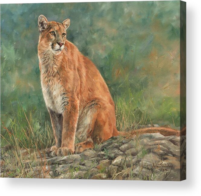 Mountain Lion Acrylic Print featuring the painting Mountain Lion #1 by David Stribbling